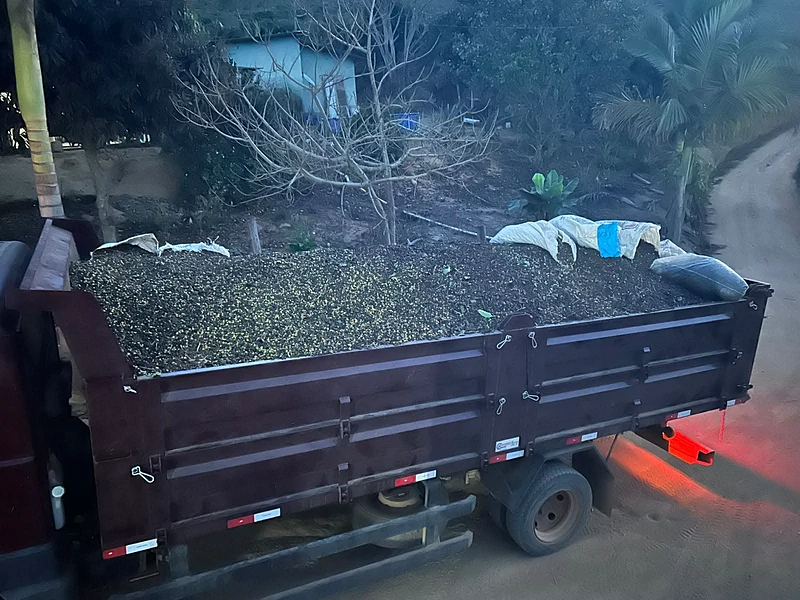 Caçamba agrícola montada em caminhão, com laterais removíveis, carregada de café